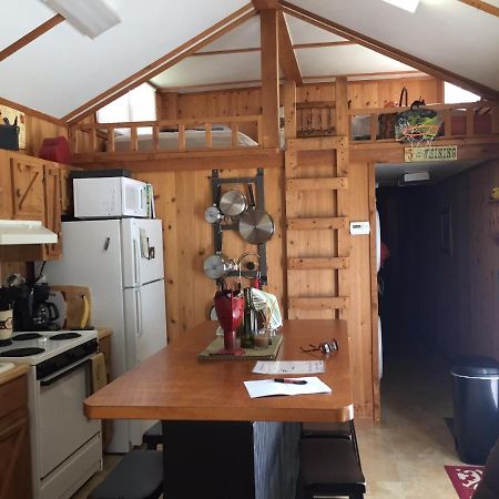 Cozy Cabin On The Bayou Maurepas エクステリア 写真