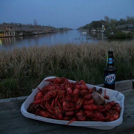 Cozy Cabin On The Bayou Maurepas エクステリア 写真