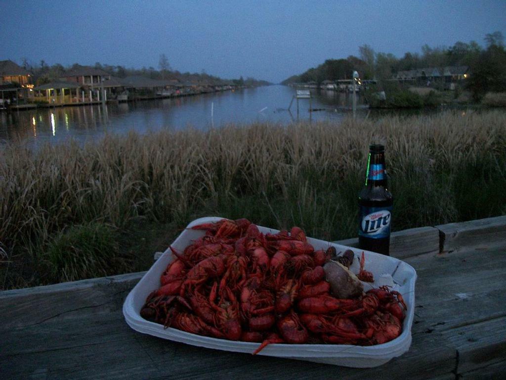 Cozy Cabin On The Bayou Maurepas エクステリア 写真